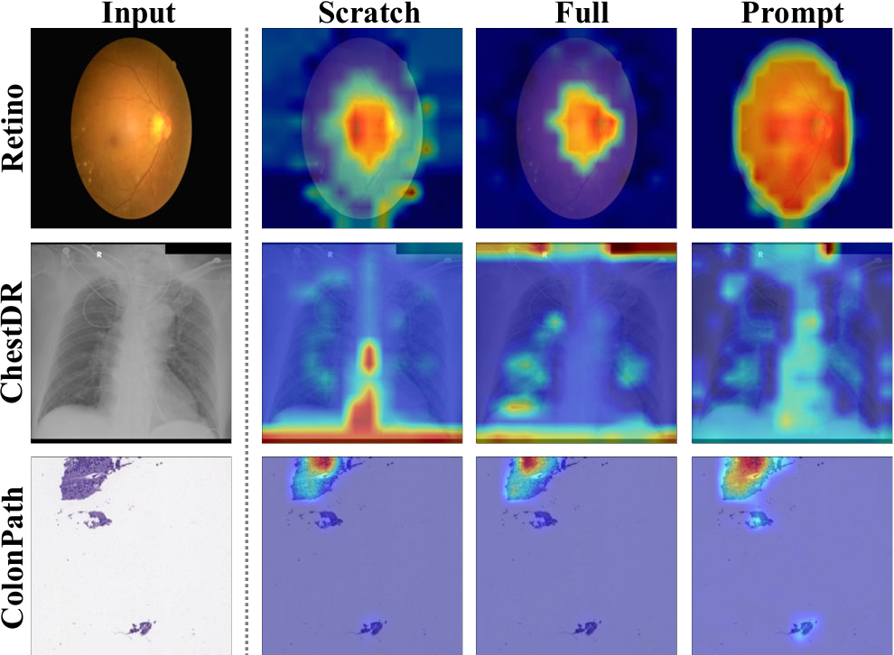 Visualizing Prompt Distillation and Baselines