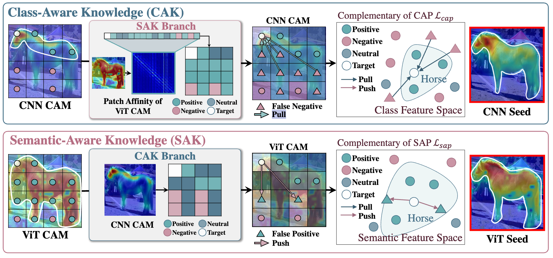 CoBra: Complementary Branch Fusing Class and Semantic Knowledge for Robust Weakly Supervised Semantic Segmentation